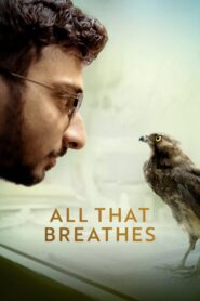 All That Breathes (2022) Hindi HEVC 720p Download