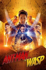 Ant-Man and the Wasp (2018) Dual Audio [Hindi ORG+English] 720p Free Download