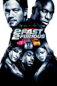 2 Fast 2 Furious (2003) Dual Audio Hindi ORG+English 1080p 720p Free Download BluRay