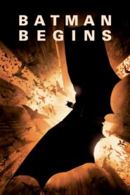 Batman Begins (2005) Dual Audio [Hindi ORG+English] 720p 480p Free Download