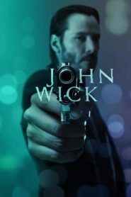 John Wick (2014) Dual Audio [Hindi ORG+English] 1080p 720p 480p Free Download