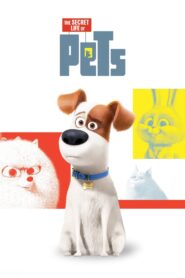 The Secret Life of Pets (2016) Dual Audio 720p Free Download