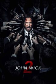 John Wick Chapter 2 (2017) Dual Audio 720p 1080p Free Download