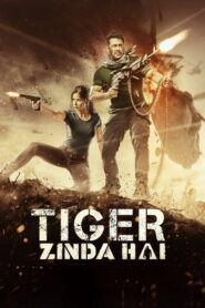 Tiger Zinda Hai (2017) Hindi 720p 480p Free Download