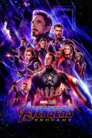 Avengers: Endgame (2019) Dual Audio [Hindi ORG+English] IMAX 1080p 720p Free Download