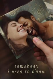 Somebody I Used to Know (2023) DUAL Audio [English+Hindi ORG] 720p Download