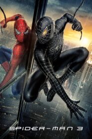 Spider-Man 3 (2007) Dual Audio