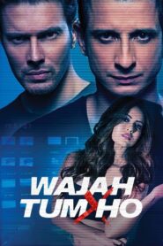 Wajah Tum Ho (2016) 720p 480p Hindi Download