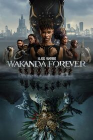 Black Panther Wakanda Forever (2022) Dual Audio[Hindi ORG &English] Free Download IMAX 1080p 720p 480p Free Download