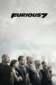 Fast & Furious 7 (2015) Dual Audio Hindi+English 720p Free Download