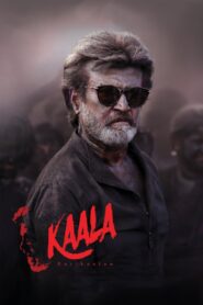 Kaala (2018) Hindi 720p 480p Free Download