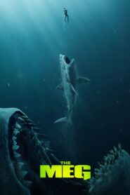 The Meg (2018) Dual Audio [Hindi ORG+English] 720p Free Download