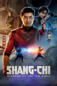 Shang-Chi and the Legend of the Ten Rings (2021) Dual Audio [Hindi & English] IMAX 1080p Google Drive Download