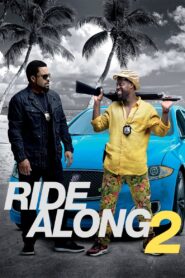 Ride Along 2 (2016) Dual Audio [Hindi & English] 720p 480p Free Download