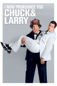 I Now Pronounce You Chuck & Larry (2007) DUAL Audio [Hindi & English] 1080p 720p 480p FREE Download