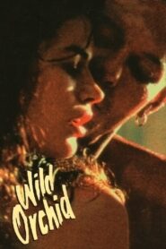 [18+] Wild Orchid (1989) Dual audio Hindi English 720p 480p FREE Download