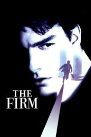 The Firm (1993) Dual Audio Hindi ORG+English 1080p 720p 480p FREE Download