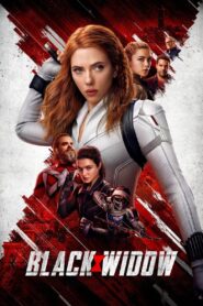 Black Widow (2021) Dual Audio (Hindi & English) 1080p 720p 480p FREE Download