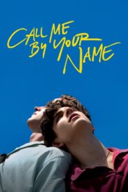 [18+] Call Me by Your Name (2017) Dual Audio [Hindi+Original] E-Sub 1080p FREE Download