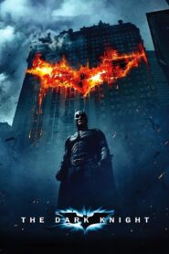 The Dark Knight (2008) Dual Audio 1080p 480p 720p Hindi English FREE Download