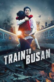 Train to Busan (2016) Dual Audio [Hindi & Korean] 1080p 720p 480p FREE Download