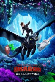 How to Train Your Dragon: The Hidden World (2019) Dual Audio Hindi English 1080p 720p 480p FREE Download