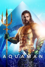 Aquaman (2018) Dual Audio [Hindi & English] IMAX 1080p Free Download