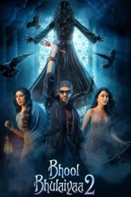 Bhool Bhulaiyaa 2 (2022) Hindi 720p 480p Download