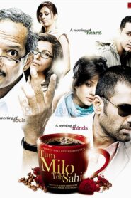 Tum Milo Toh Sahi (2010) Hindi 720p 480p FREE Download