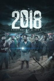 2018 (2023) HD Hindi Malayalam Dual Audio Download