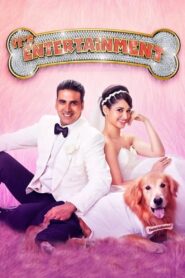 It’s Entertainment (2014) Hindi Download