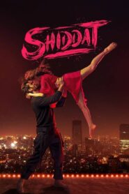 Shiddat (2021) Hindi Download