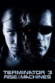 Terminator 3: Rise of the Machines (2003) Dual Audio Hindi English Download