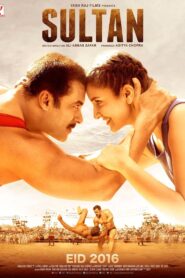 Sultan (2016) Hindi Download