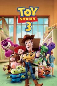 Toy Story 3 Dual Audio