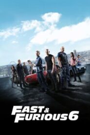 Fast & Furious 6 (2013) Dual Audio Hindi English Download