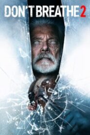 Don’t Breathe 2 (2021) Dual Audio Hindi English