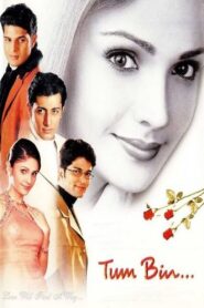 Tum Bin (2001) Hindi