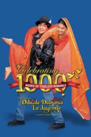 Dilwale Dulhania Le Jayenge 1995 Hindi Download