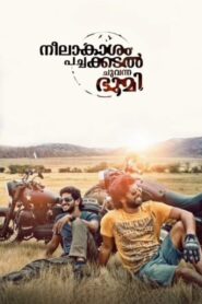 Neelakasham Pachakadal Chuvanna Bhoomi (2013) Hindi Dubbed