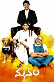 Dayalu 2014 Manam 2014 Dual Audio Hindi Dubbed+Telugu Download