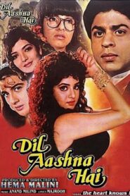 Dil Aashna Hai 1992 Hindi Download