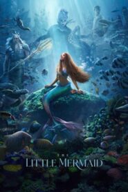 The Little Mermaid 2023 Dual Audio Hindi ENGLISH 1080p 720p Download