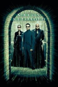 The Matrix Reloaded 2003 Dual Audio Hindi ENGLISH Download