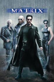 The Matrix 1999 Dual Audio Hindi ENG Download