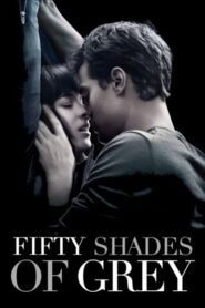 Fifty Shades of Grey 2015 Dual Audio Hindi ENGLISH Download