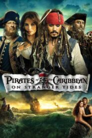 Pirates of the Caribbean: On Stranger Tides 2011 Dual Audio UNCUT Extended Version Download Hindi+ENG Esub