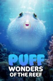 Puff: Wonders of the Reef 2021 Hindi ORG+ ENG Download