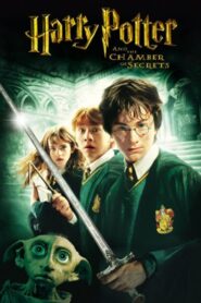 2 Harry Potter and the Chamber of Secrets Dual Audio Hindi+ENG Download