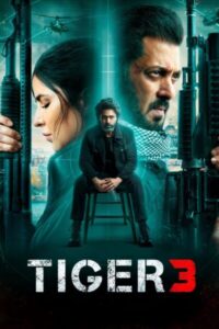 Tiger 3 WEB-DL Hindi 1080p 720p 480p HD FULL HD Download